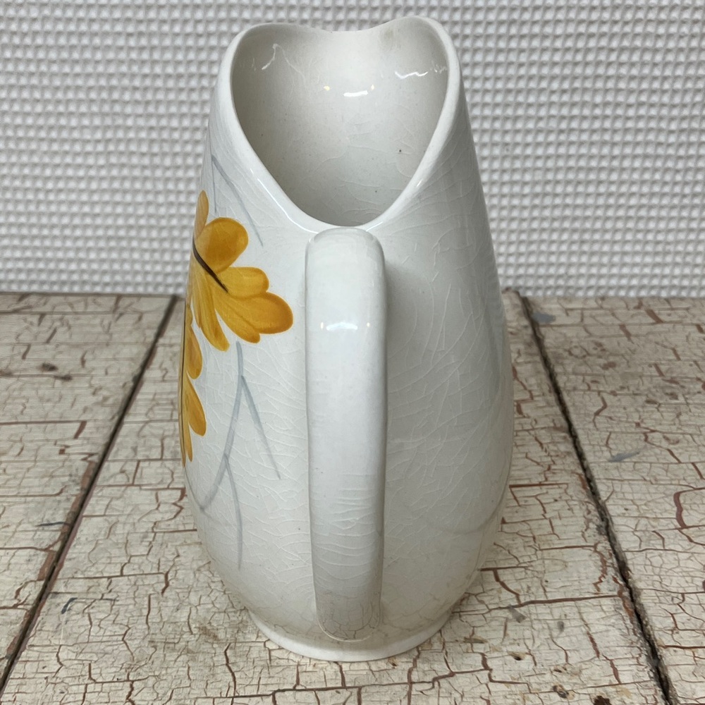 Pitcher - Picture 4 of 7